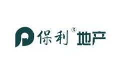 大大大大项目