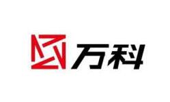 大大大大项目